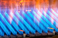Keresley Newlands gas fired boilers